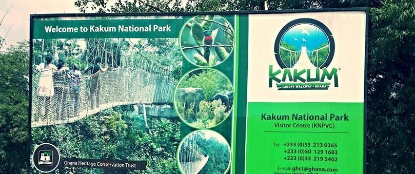 Aluminium ladders support the canopy walkway at Kakum National Park, Ghana