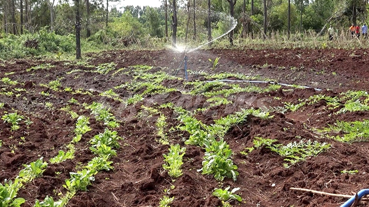 Nawailevu bauxite mining site in Fiji sails on a sustainable path