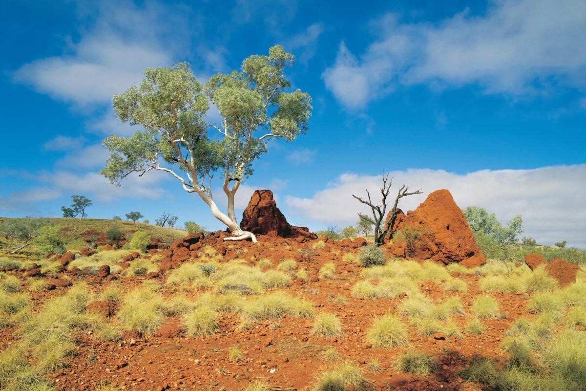 Rio Tinto commits A$8 million for conservation and Indigenous ranger programs in WA National Parks