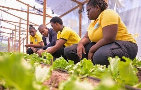 Jamaica Bauxite Institute collaborates with Papine High School to enhance agriculture programme