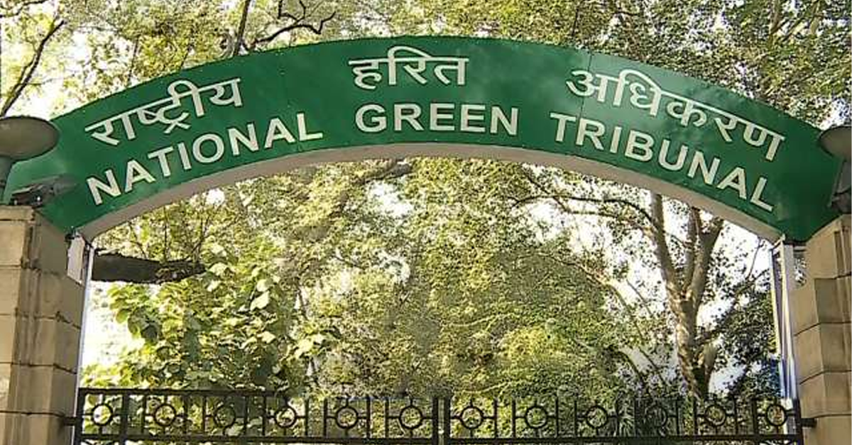 NGT's radar for alleged environmental violations