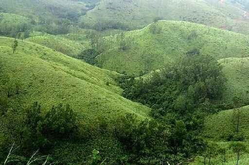 Gandhamardan Hills declared off-limits for bauxite mining activities by Odisha govt.