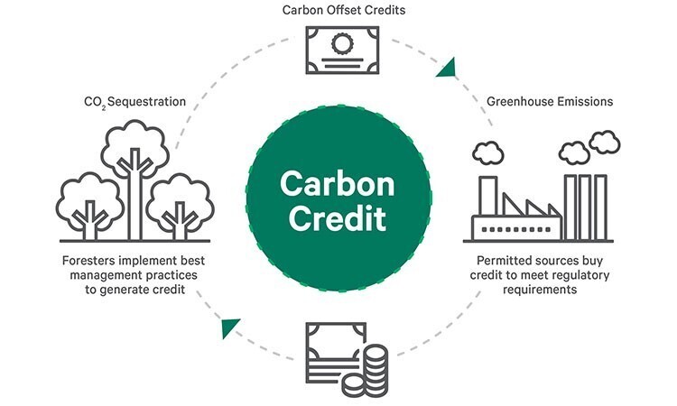 Carbon Credit